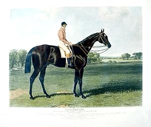 Immagine del venditore per Coronation, the Winner of the Derby Stakes, at Epsom, 1841 venduto da Donald A. Heald Rare Books (ABAA)
