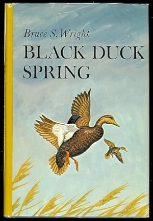 Bild des Verkufers fr BLACK DUCK SPRING. zum Verkauf von Capricorn Books