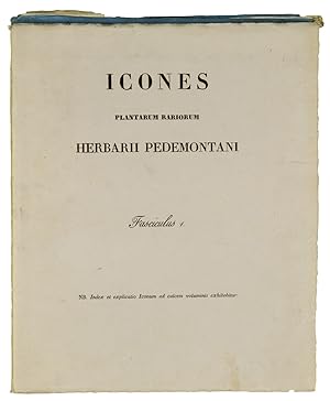 Icones Plantarum Rariorum Herbarii Pedemontani.