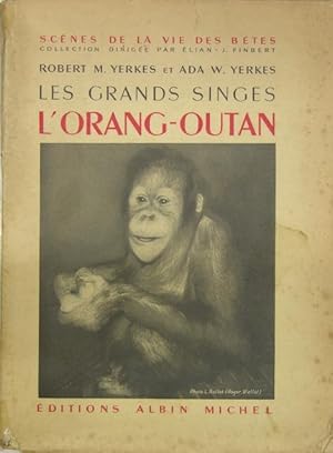Bild des Verkufers fr Les grands singes - l Orang-Outan zum Verkauf von Philippe Lucas Livres Anciens