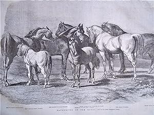 The Illustrated London News (Single Complete Issue: Vol. XXIII No. 657, December 10, 1853) With L...