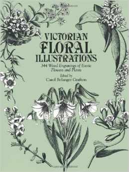 Victorian Floral Illustrations