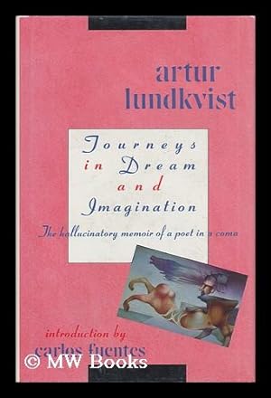 Bild des Verkufers fr Journeys in Dream and Imagination zum Verkauf von MW Books Ltd.