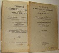 Imagen del vendedor de PATOLOGA Y TERAPUTICA ESPECIALES DE LOS ANIMALES DOMSTICOS. Tomo Primero: Enfermedades infecciosas, de la sangre y de los rganos que la producen, del bazo, de los cambios nutritivos y de los aparatos urinario y circulatorio (fascculo III) a la venta por EL RINCN ESCRITO