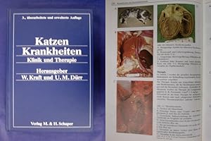 Immagine del venditore per Katzenkrankheiten - Klinik und Therapie venduto da Buchantiquariat Uwe Sticht, Einzelunter.