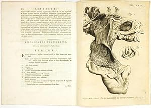 Bild des Verkufers fr De uteri scirrho / Joan. Georg. Roederer et J.G. Christiani Hirschfeld Auctoris / Gottingae 29. August 1755. zum Verkauf von Antiq. F.-D. Shn - Medicusbooks.Com