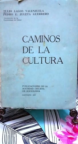 Caminos de la cultura