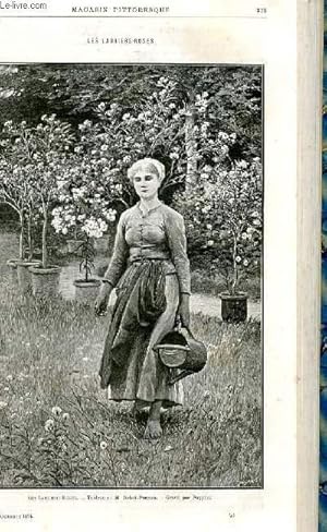 Seller image for LE MAGASIN PITTORESQUE - Livraison n20 - Les lauriers-roses. for sale by Le-Livre