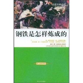 Bild des Verkufers fr Foreign Literature inspirational talent articles: How to Make Steel(Chinese Edition) zum Verkauf von liu xing