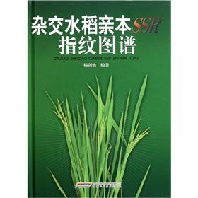 Immagine del venditore per Parents of Hybrid Rice SSR fingerprinting [hardcover](Chinese Edition) venduto da liu xing