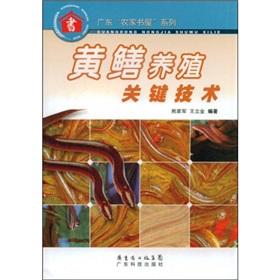 Image du vendeur pour Eel key technology(Chinese Edition) mis en vente par liu xing