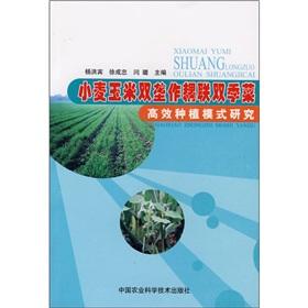 Seller image for Maize and wheat ridge coupled double cropping vegetables: efficient cropping patterns(Chinese Edition) for sale by liu xing