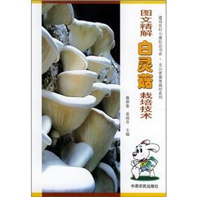 Immagine del venditore per Graphic intensive solution Bailing cultivation techniques(Chinese Edition) venduto da liu xing