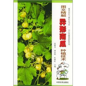Seller image for Graphic fine solution shaped pumpkin growing techniques(Chinese Edition) for sale by liu xing