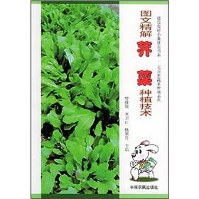 Seller image for Graphic intensive solution shepherd's purse growing techniques(Chinese Edition) for sale by liu xing
