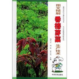 Imagen del vendedor de Graphic fine solution Toon Vegetable Production(Chinese Edition) a la venta por liu xing