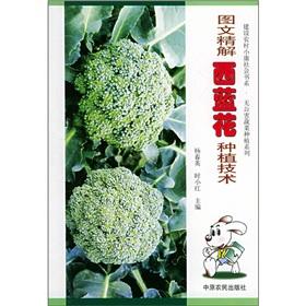 Immagine del venditore per Graphic fine solution broccoli planting techniques(Chinese Edition) venduto da liu xing