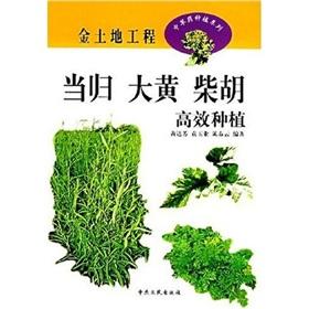 Imagen del vendedor de Angelica efficient cultivation of rhubarb Bupleurum(Chinese Edition) a la venta por liu xing