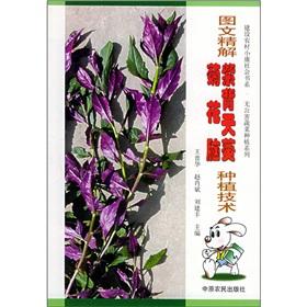 Imagen del vendedor de Graphic fine solution Gynura. chrysanthemum brain growing techniques(Chinese Edition) a la venta por liu xing