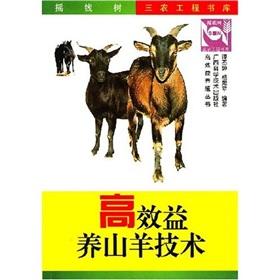 Seller image for High efficiency goats technology(Chinese Edition) for sale by liu xing