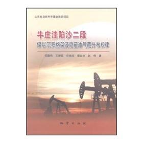 Seller image for Niuzhuang sag the Shahejie reservoir sedimentary framework of subtle reservoir distribution law(Chinese Edition) for sale by liu xing