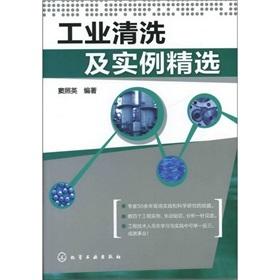 Immagine del venditore per Industrial cleaning and instance selection(Chinese Edition) venduto da liu xing