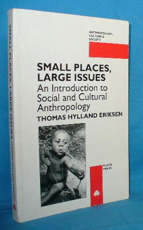 Immagine del venditore per Small Places, Large Issues: An Introduction to Social and Cultural Anthropology venduto da Alhambra Books