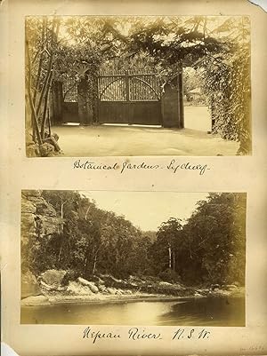 Imagen del vendedor de Album page of albumen photographs by one of Australia's leading landscape photographers: Sydney Harbour, Sydney Observatory, Botanical Gardens, Nepean River a la venta por Antipodean Books, Maps & Prints, ABAA