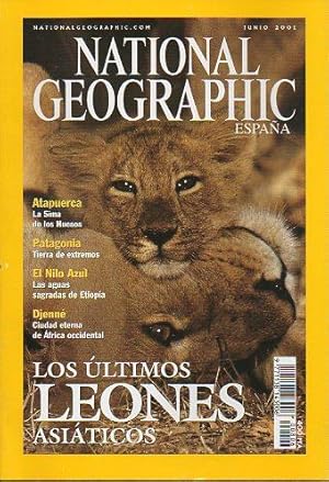 Seller image for Revista NATIONAL GEOGRAPHIC MAGAZINE ESPAA. Vol. 8. N 6. for sale by angeles sancha libros