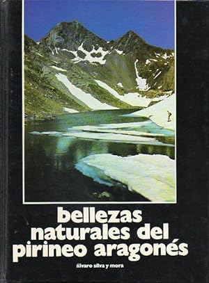 Image du vendeur pour BELLEZAS NATURALES DEL PIRINEO ARAGONS. mis en vente par angeles sancha libros