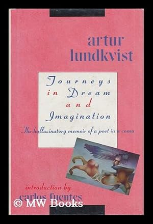 Bild des Verkufers fr Journeys in Dream and Imagination zum Verkauf von MW Books