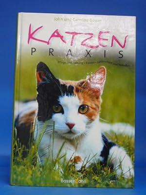 Katzenpraxis