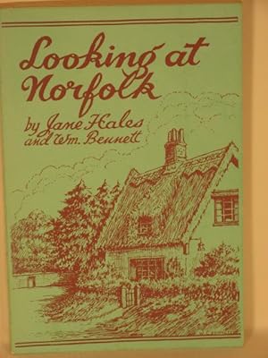 Looking at Norfolk