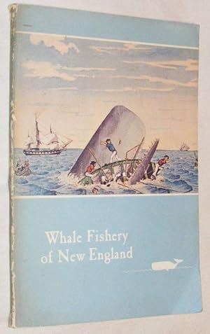 Whale Fishery of New England: an account, with illustrations & some interesting & amusing anecdot...
