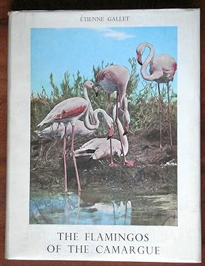 Imagen del vendedor de The Flamingos of the Camargue a la venta por Canford Book Corral