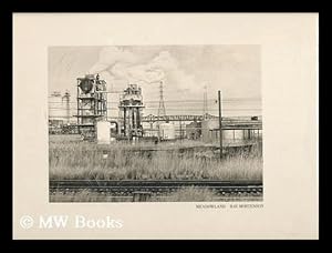 Immagine del venditore per Meadowlands venduto da MW Books