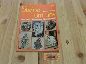 Immagine del venditore per Steine um uns. Mein erstes Gesteine- und Mineralienbuch. venduto da Druckwaren Antiquariat