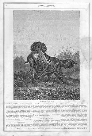 Seller image for ENGRAVING: "A Retriever".engraving from The Aldine Magazine; May ,1874 for sale by Dorley House Books, Inc.