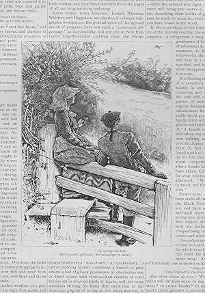 Seller image for ENGRAVING: "Up Springs the Lark".engraving from The Aldine Magazine; May ,1874 for sale by Dorley House Books, Inc.