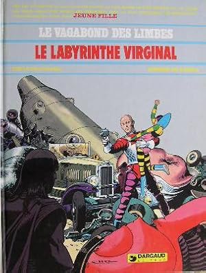 Image du vendeur pour Le labyrinthe virginal. mis en vente par Librairie les mains dans les poches