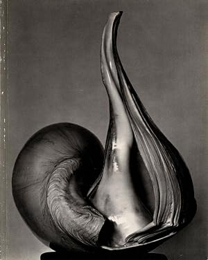 Seller image for Untitled 41 (The Friends of Photography): EW 100: Centennial Essays in Honor of Edward Weston for sale by Vincent Borrelli, Bookseller