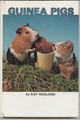 Seller image for Guinea Pigs for sale by Kadriin Blackwell