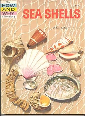 Seller image for The How and Why Wonder Book of Sea Shells for sale by Kadriin Blackwell