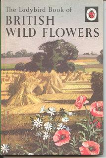 Image du vendeur pour British Wild Flowers (series: The Ladybird Book of) mis en vente par Kadriin Blackwell