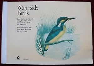 Seller image for Waterside Birds: Beautiful Colour Prints of Eight of the Most Attractive Birds of the Waterside for sale by Cadeby Books