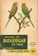 Teaching the Budgerigar to Talk