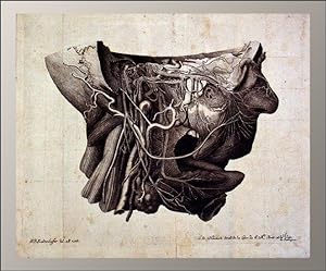 Bild des Verkufers fr Tractatus anatomico physiologicus de uqinto pare nervorum cerebri. zum Verkauf von Daniel Thierstein