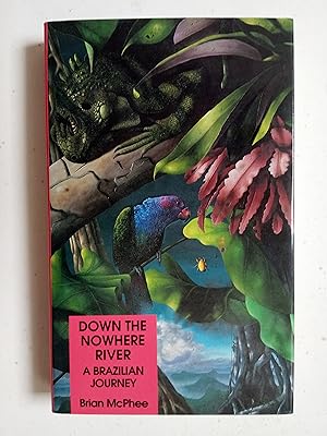 Bild des Verkufers fr Down the Nowhere River: a Brazilian Journey zum Verkauf von best books