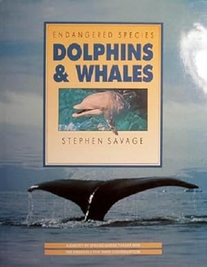 Endangered Species Dolphins And Whales