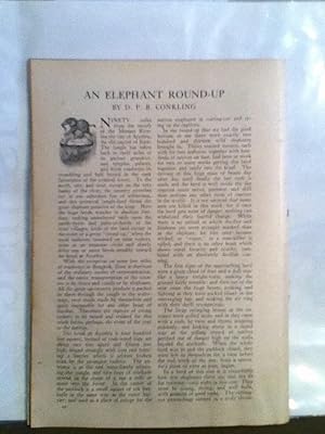 Image du vendeur pour An Elephant Round-Up / Noosing Wild Elephants mis en vente par Legacy Books II